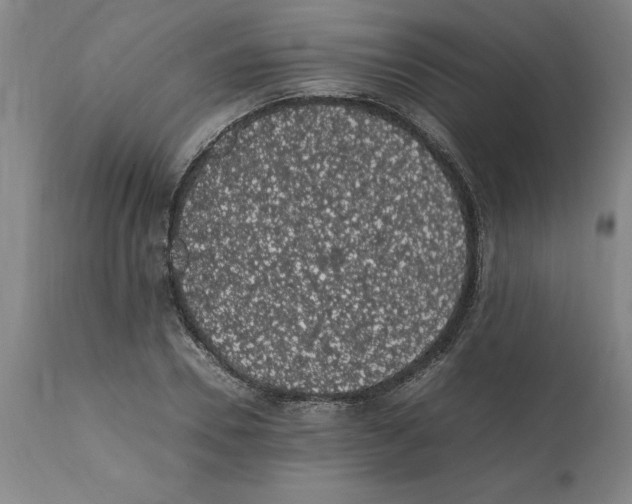X0000112110930200909151221