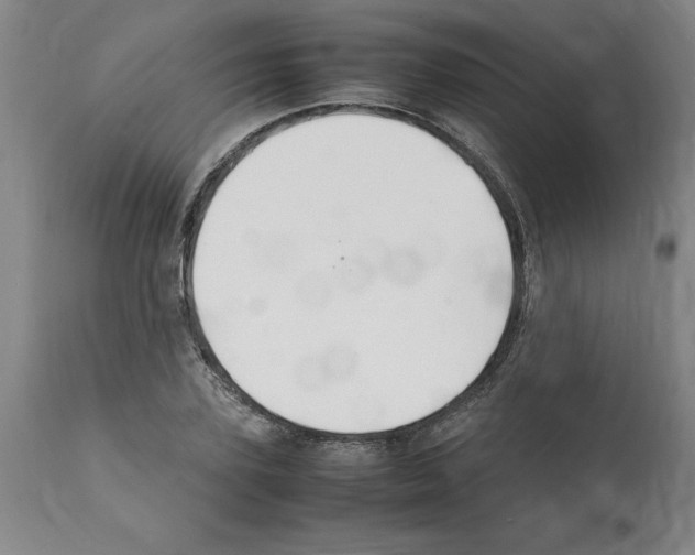 X0000112110931200909151221