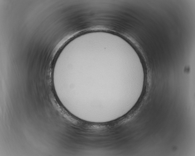 X0000112110933200909151221