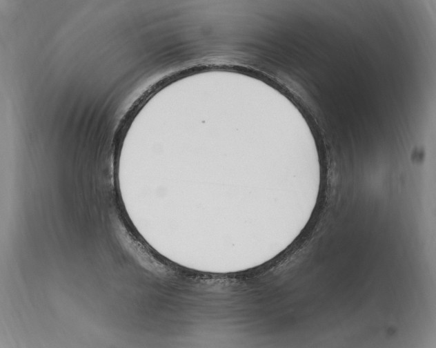 X0000112110934200909151221
