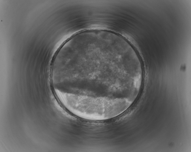 X0000112110941200909151221