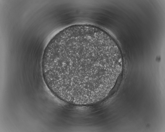 X0000112110943200909151221