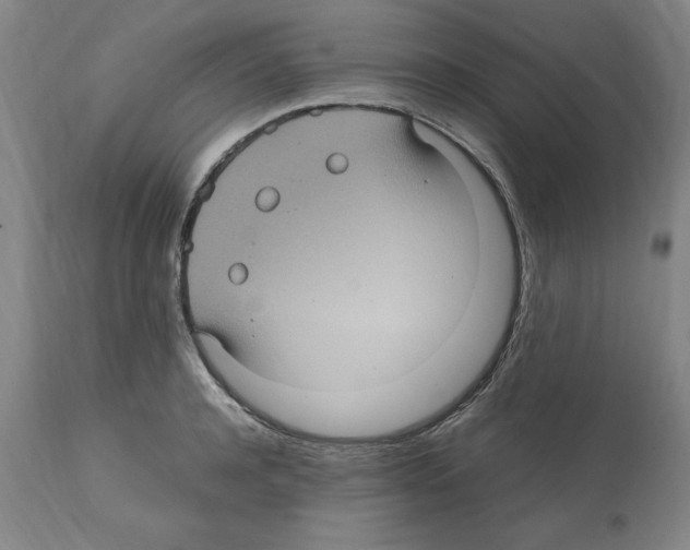 X0000112110944200909151221