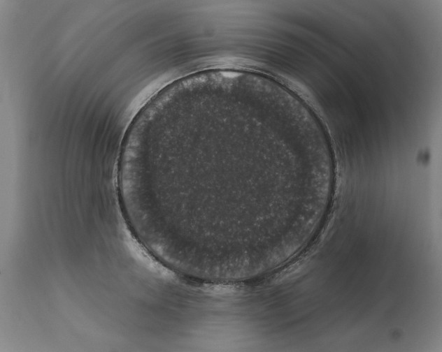 X0000112110946200909151221
