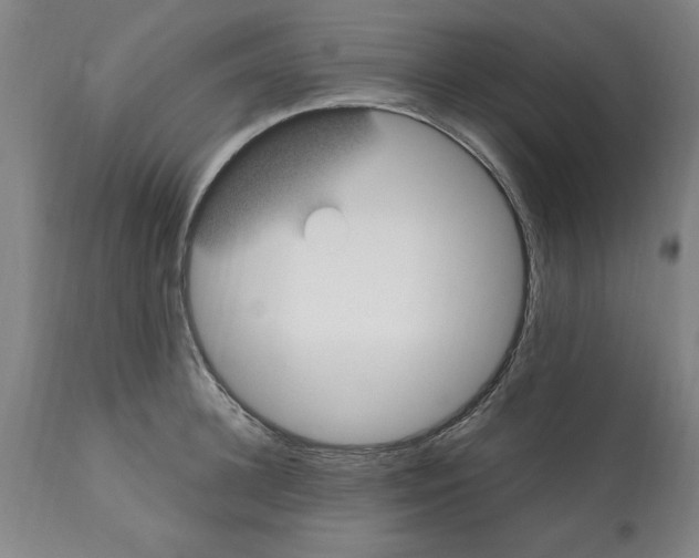 X0000112110948200909151221