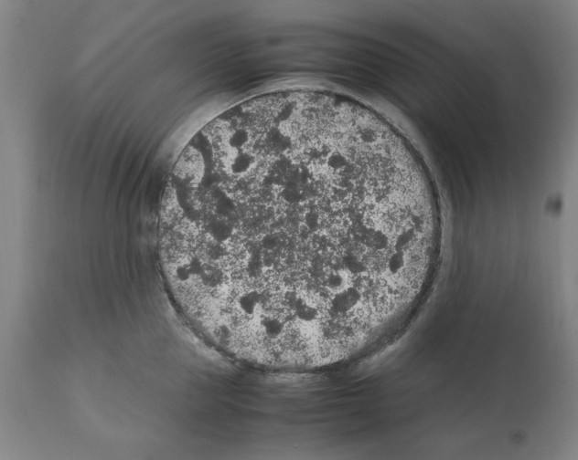 X0000112110953200909151221