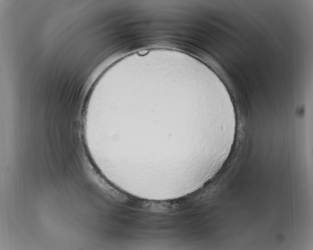 X0000112110955200909151221