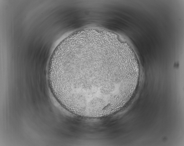 X0000112110957200909151221