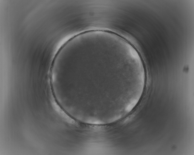 X0000112110958200909151221