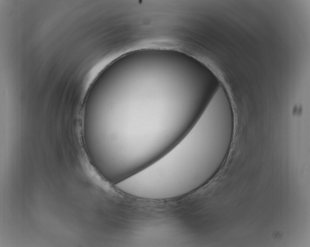 X0000112110960200909151221
