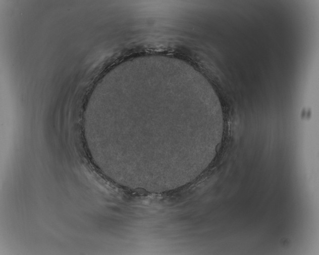 X0000112110961200909151220