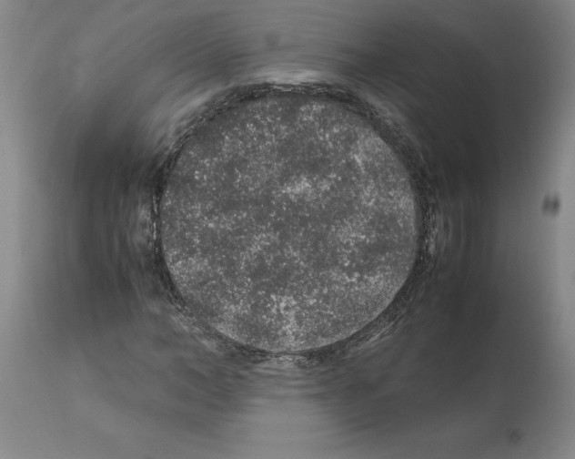 X0000112110966200909151220
