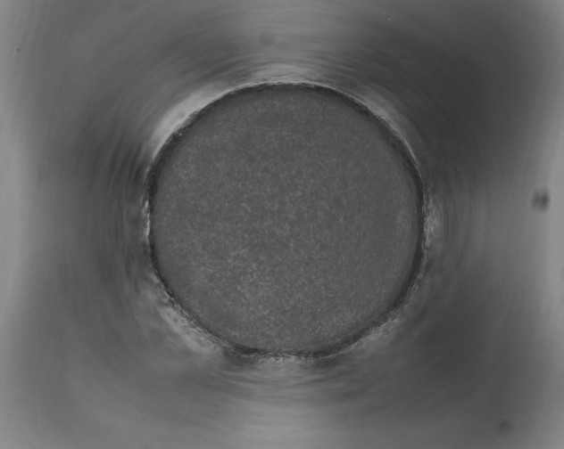 X0000112110973200909151220