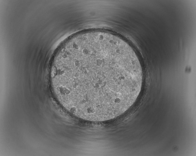 X0000112110975200909151220
