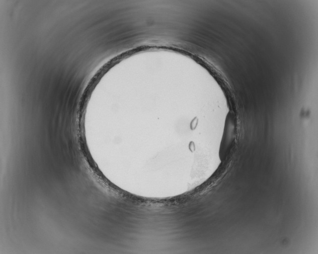 X0000112110976200909151220