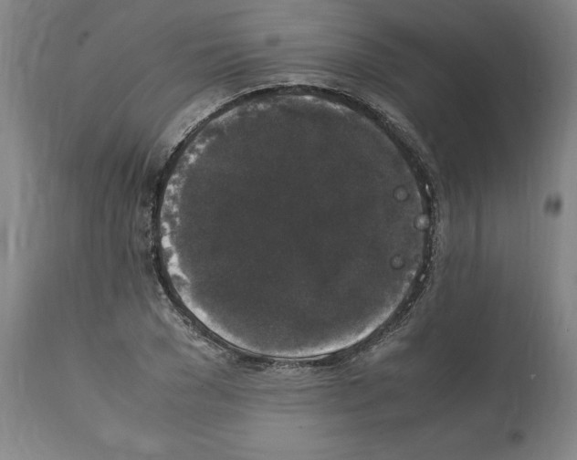 X0000112110977200909151220