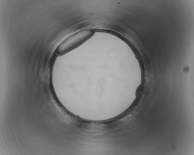 X0000112110981200909151220