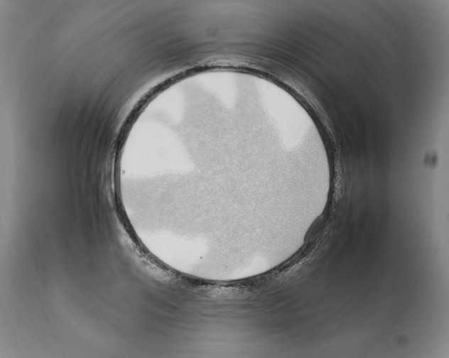 X0000112110984200909151220