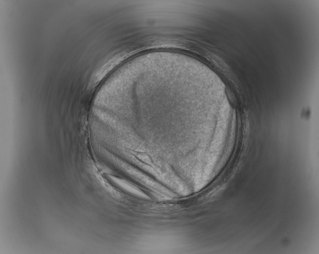 X0000112110985200909151220