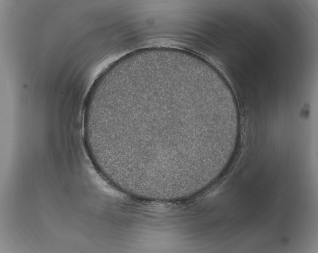 X0000112110987200909151220