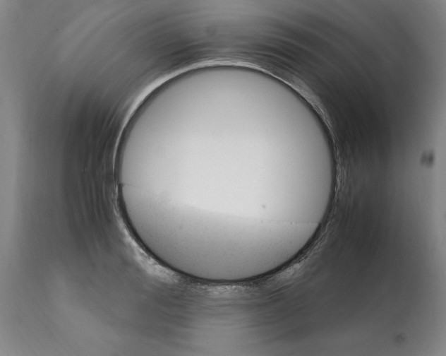 X0000112110988200909151220