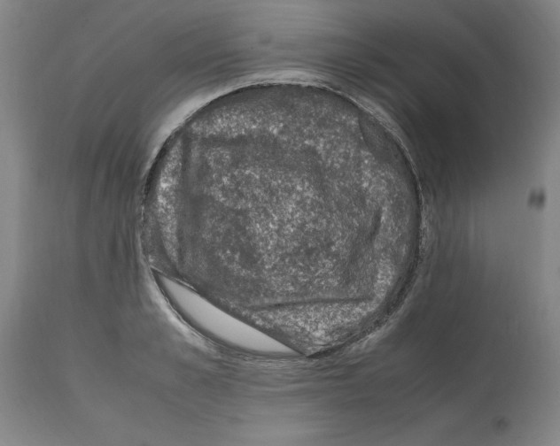 X0000112110989200909151220