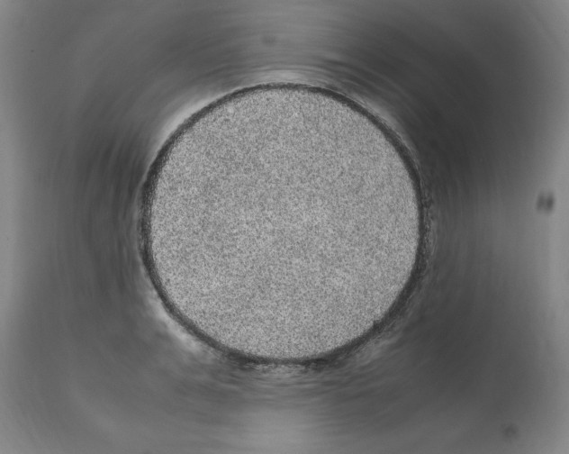 X0000112110991200909151220