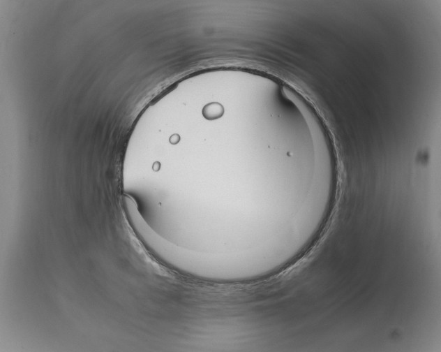 X0000112110993200909151220