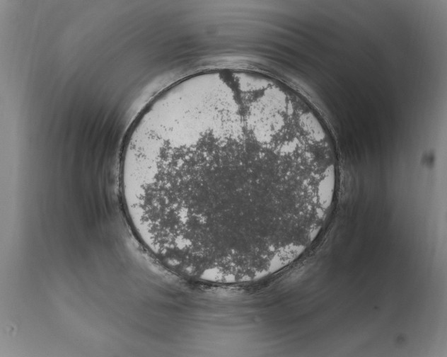 X0000112110994200909151220