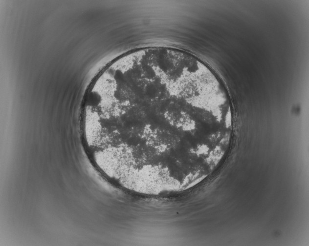 X0000112110995200909151220