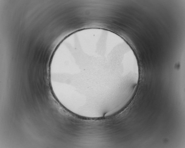 X0000112110996200909151220
