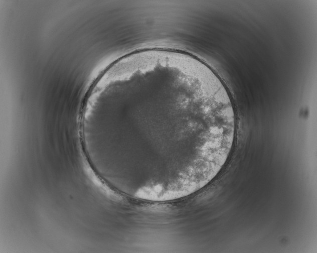 X0000112110998200909151220
