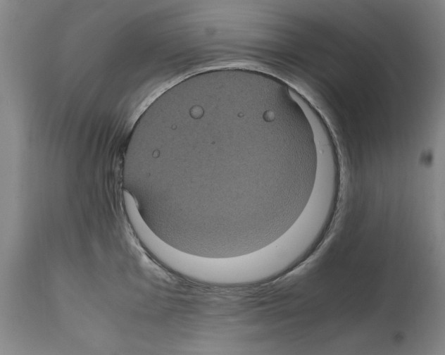 X0000112111001200909151220