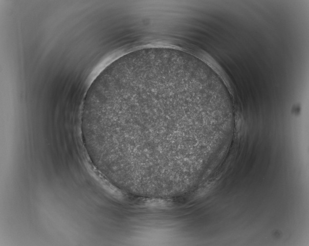 X0000112111002200909151220