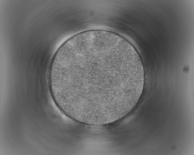 X0000112111007200909151220