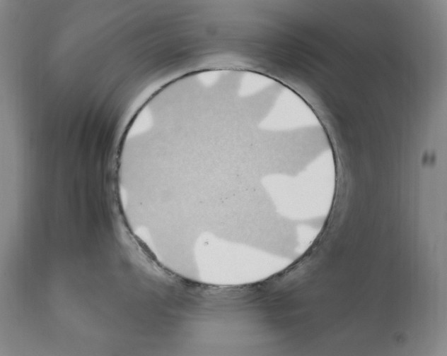X0000112111008200909151220