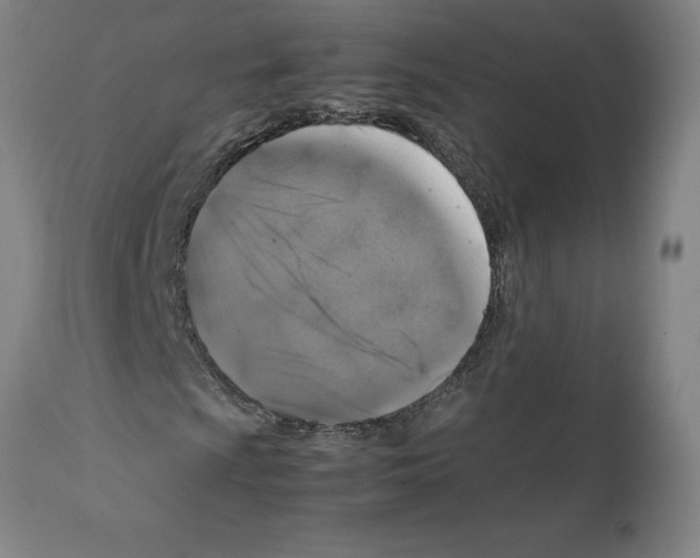 X0000112111009200909151219
