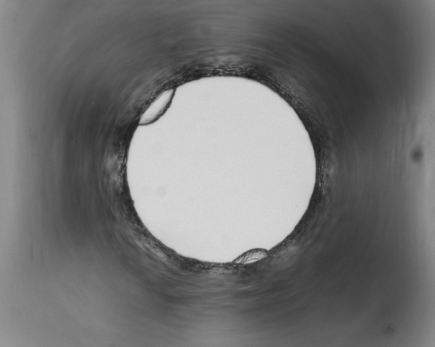 X0000112111010200909151219
