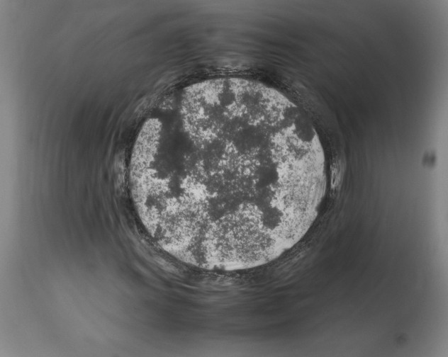 X0000112111011200909151219