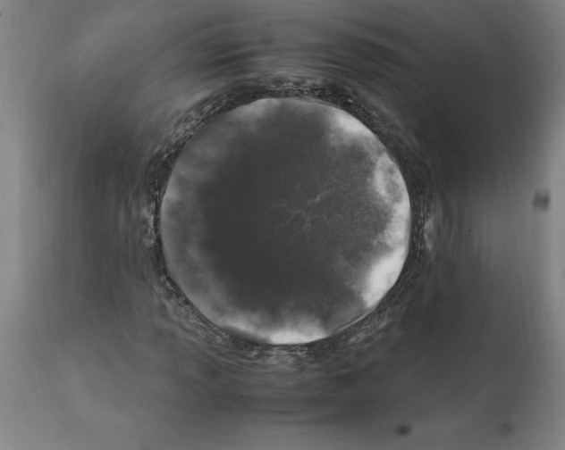 X0000112111013200909151219