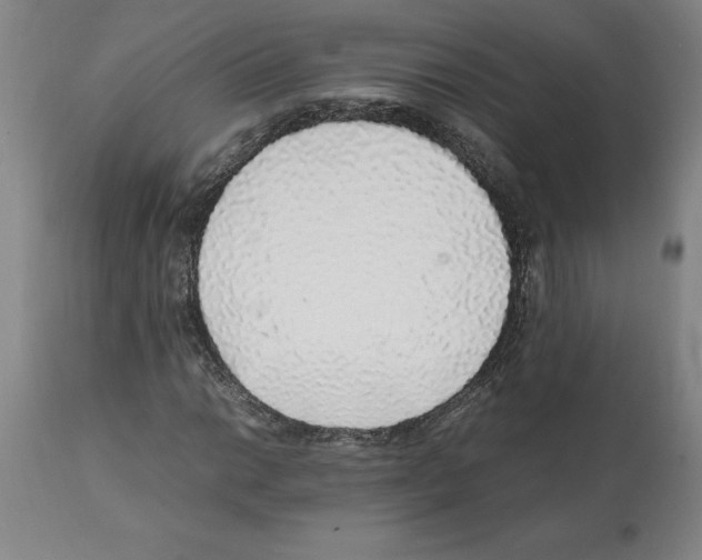 X0000112111014200909151219