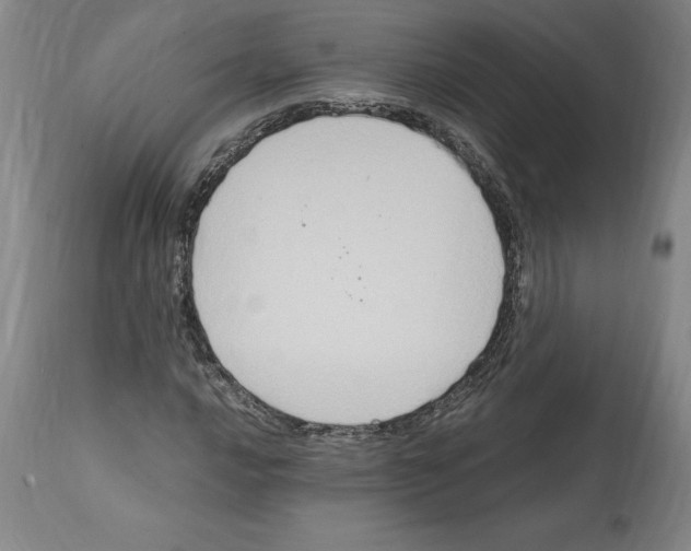 X0000112111016200909151219