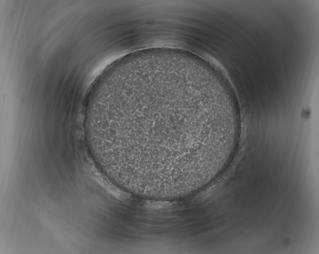 X0000112111019200909151219