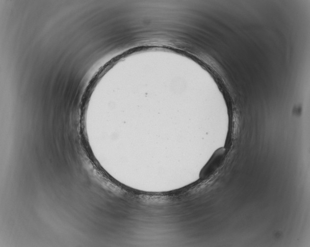 X0000112111020200909151219