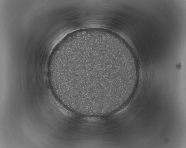 X0000112111023200909151219