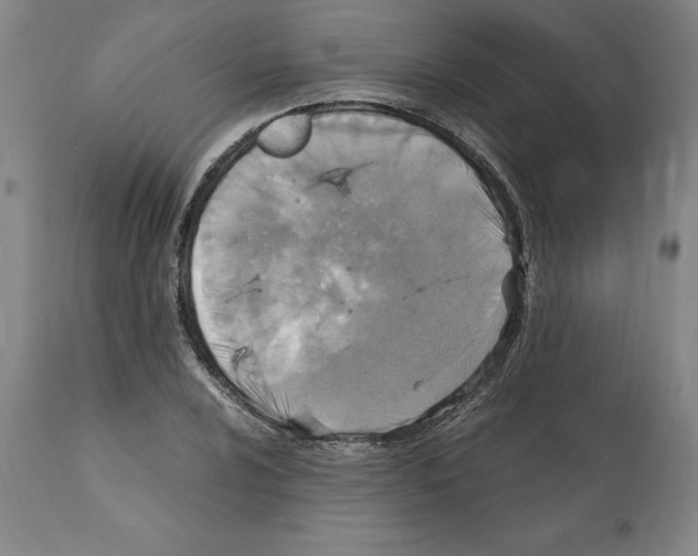 X0000112111024200909151219