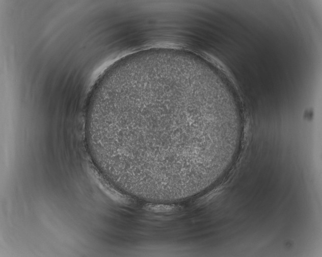 X0000112111027200909151219
