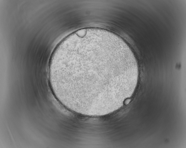 X0000112111028200909151219
