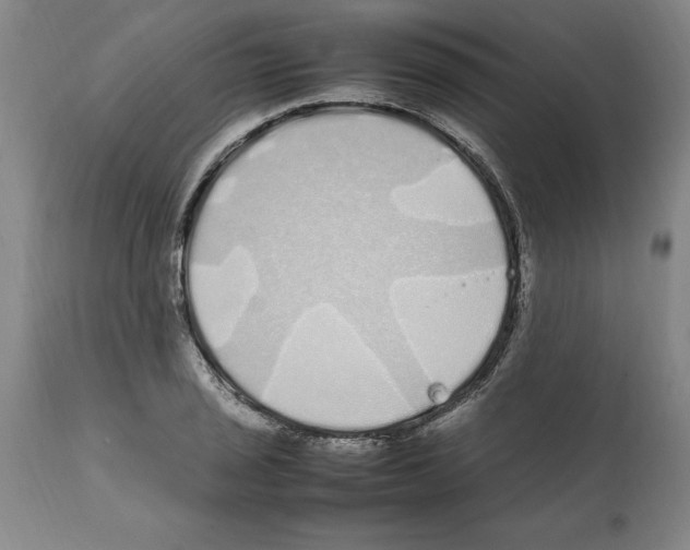 X0000112111029200909151219