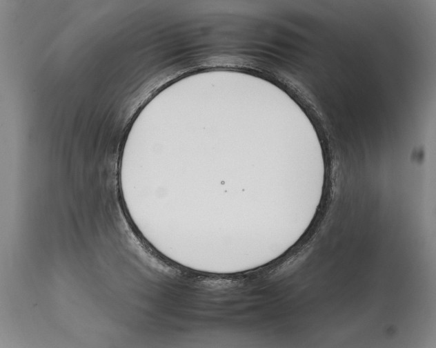 X0000112111033200909151219